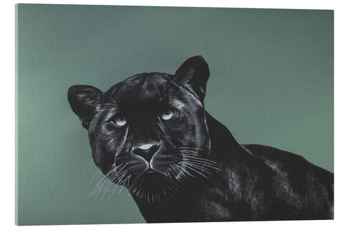 Acrylic print Emerald panther