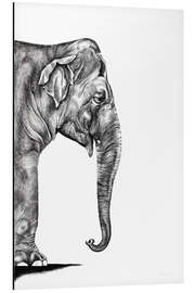 Aluminium print Indian elephant