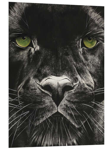 PVC print Panthers face