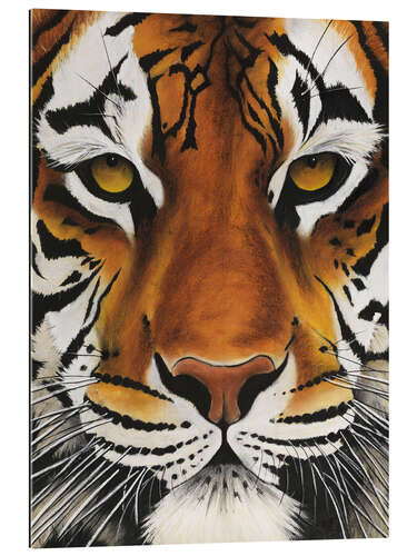 Quadro em plexi-alumínio Tigre velho