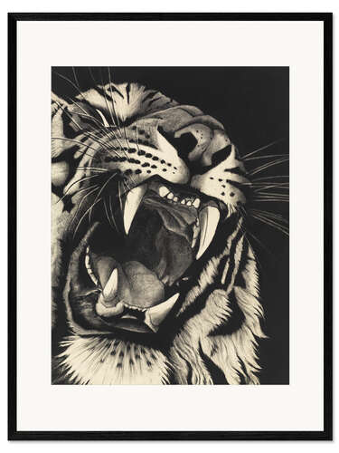 Impresión de arte enmarcada Tigre gruñendo