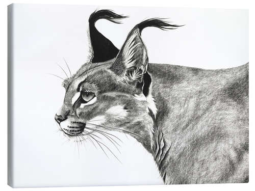 Canvas-taulu Caracal in the wind