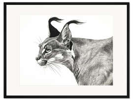 Gerahmter Kunstdruck Karakal im Wind