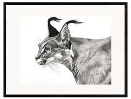 Kehystetty taidepainatus Caracal in the wind