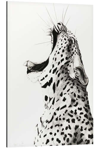 Aluminium print Yawning Leopard