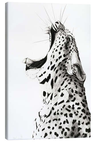 Canvas print Yawning Leopard