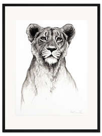 Gerahmter Kunstdruck Aufmerksame Löwin