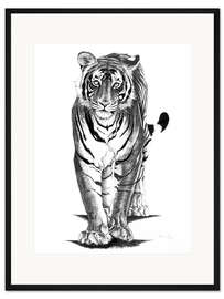 Gerahmter Kunstdruck Neugieriger Tiger