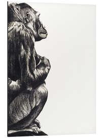 Aluminium print Lady gorilla