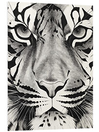 Foam board print Tiger face