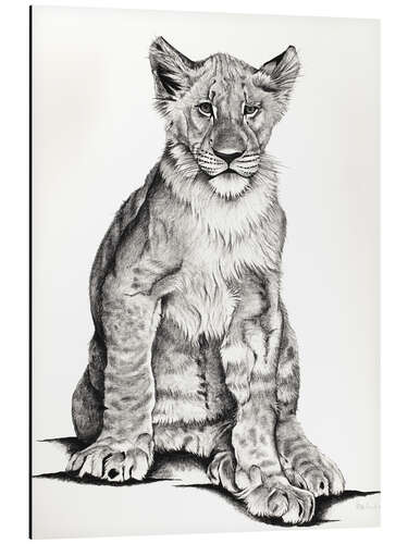 Aluminium print Lion cub