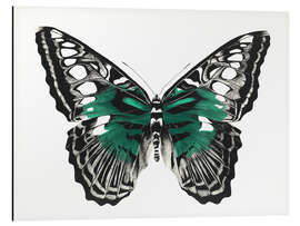 Cuadro de aluminio Mariposa verde