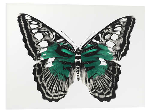 PVC-tavla Green butterfly