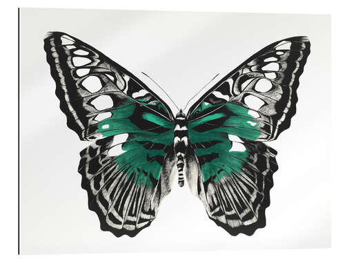 Galleritryk Green butterfly