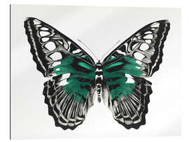 Gallery print Green butterfly