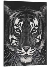 Aluminium print Tigerblick