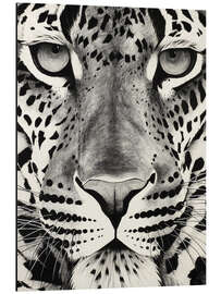 Aluminium print Leopard face