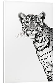 Aluminium print Peeking Leopard