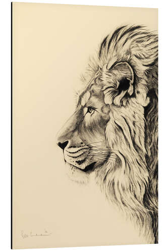 Aluminium print Persian lion I