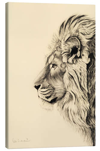 Canvas print Persian lion I