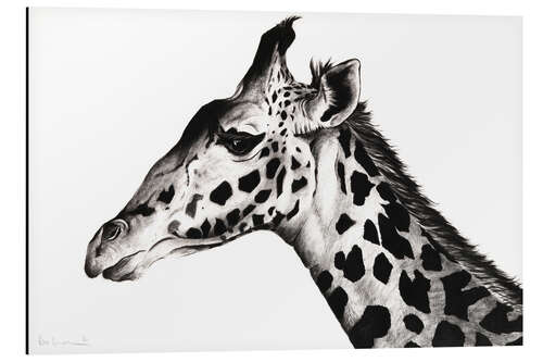 Aluminium print Giraffe