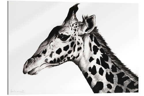 Gallery print Giraffe