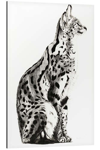 Tableau en aluminium Serval