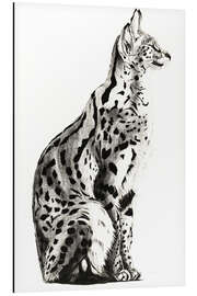 Aluminium print Serval