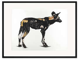 Gerahmter Kunstdruck Großer afrikanischer Wildhund II