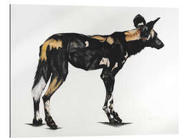 Gallery print Great African Wild Dog II