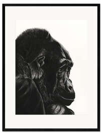 Ingelijste kunstdruk Gorilla Portrait II