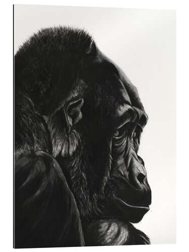 Galleriataulu Gorilla Portrait II