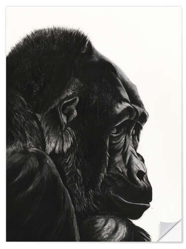 Selvklebende plakat Gorilla Portrait II