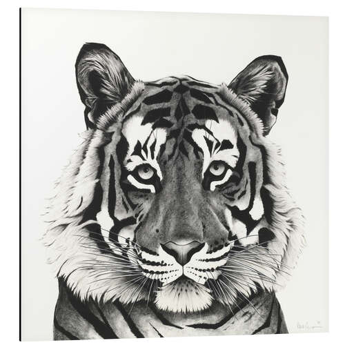 Aluminium print Tiger Head