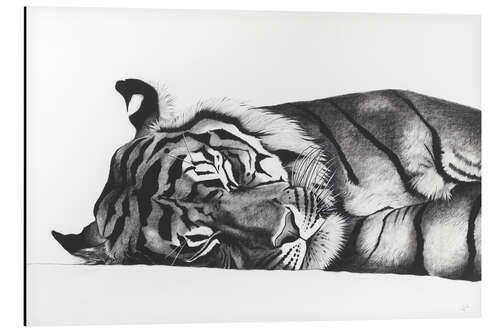 Aluminium print Sleeping tiger