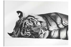 Gallery print Sleeping tiger