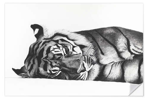 Selvklebende plakat Sleeping tiger