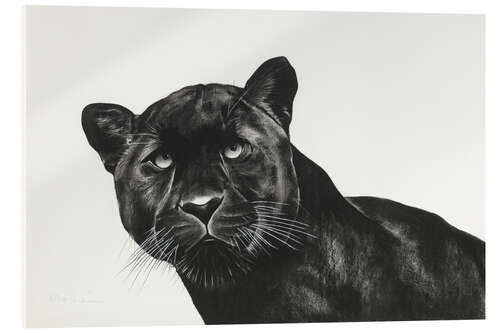 Acrylic print Black Panther