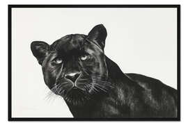 Gerahmter Kunstdruck Schwarzer Panther