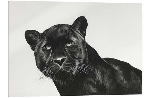 Gallery print Black Panther