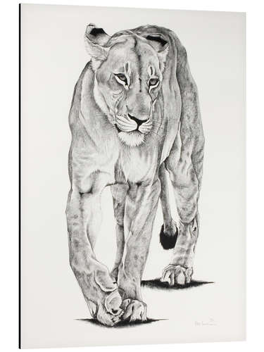 Aluminium print Lion Matriarch