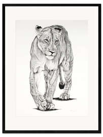 Framed art print Lion Matriarch