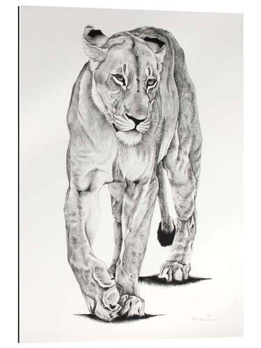 Gallery print Lion Matriarch