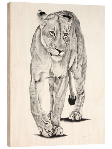 Wood print Lion Matriarch