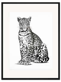 Gerahmter Kunstdruck Junger Leopard