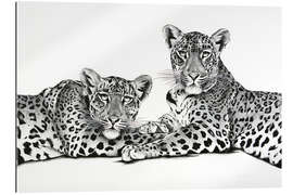 Gallery print Two leopards