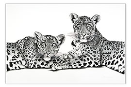 Reprodução  Dois leopardos - Rose Corcoran