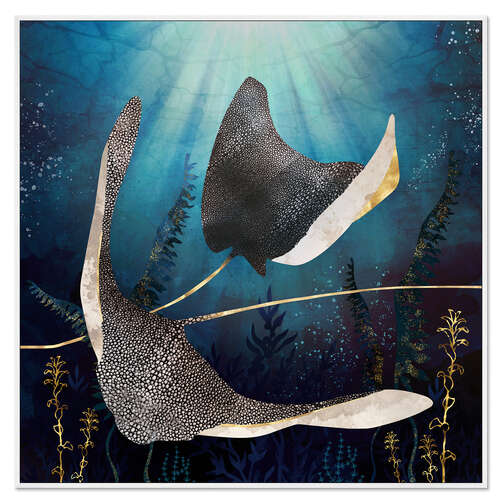 Galleriataulu Stingray