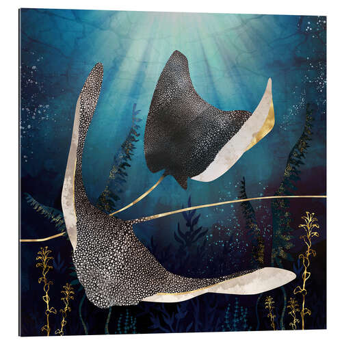 Galleriprint Stingray