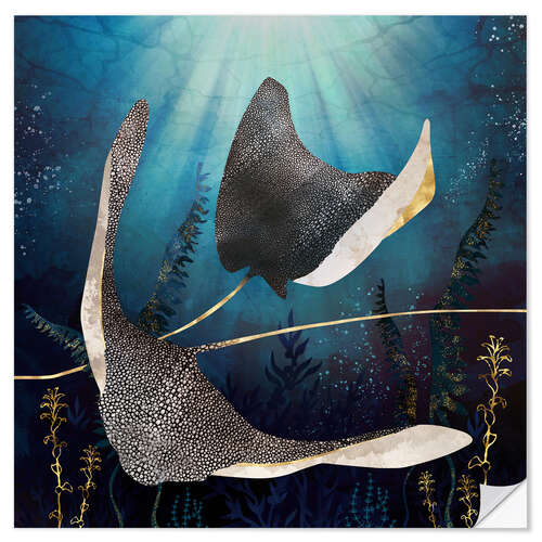 Sisustustarra Stingray